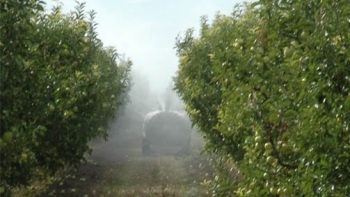 Seremi de Salud del Maule desestimó informe del SAG que exculpó a empresa por intoxicación