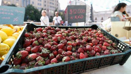  Chile, líder en exportación de frutas de la región  