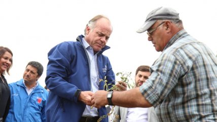  Paro portuario: Ministro advirtió efecto en exportación de frutas  