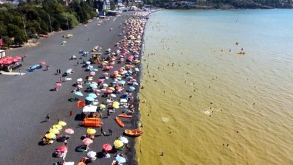   Preocupación por florecimiento de algas con alta toxicidad en el Lago Villarrica 