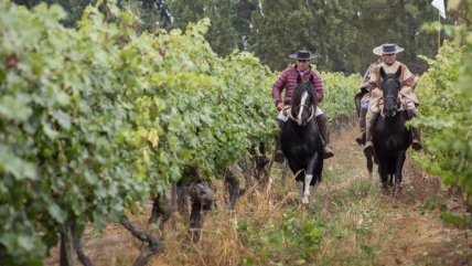   Sernatur lanzó campaña estival 