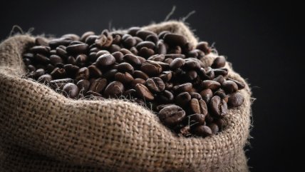   Brasil ve margen para más aumentos del precio mundial del café 