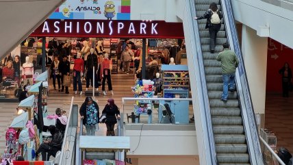   Primaria: ¿Cómo operará el comercio durante este domingo? 