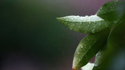   Lloviznas y baja de temperaturas se esperan en la zona central este miércoles 