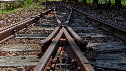   Madera usada en vías de trenes del norte revela historia climática de 300 años 