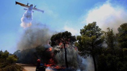   Incendios forestales afectan distintas zonas de Grecia: Al menos tres fallecidos 