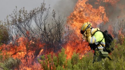   Altas temperaturas propiciaron inicio de incendios forestales en España 