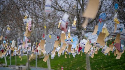   La campaña para sumar más familias de acogida 