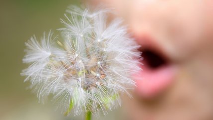   Creciendo Juntos: Claves para enfrentar las alergias estacionales 