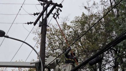   Energía que Conecta: Los desafíos de la industria eléctrica para el verano en la zona sur 