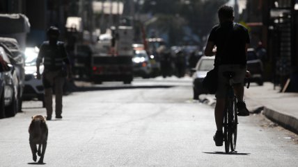   Solari: Hay un intento de dejar a Jara como partidaria de la migración irregular 