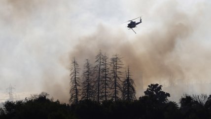  La Serena: Piden evacuar sector Población 18 de Septiembre avance de incendio forestal  