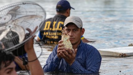  Más de 400 evacuados por inundaciones en Argentina  