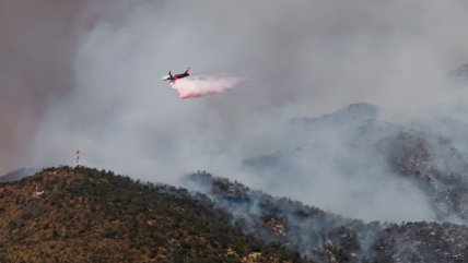   Incendios forestales: Gobierno activó preventivamente 