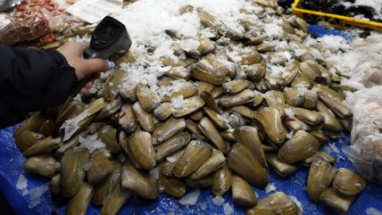   Marea roja en Tongoy puede causar daño neurológico: las recomendaciones de Seremi 