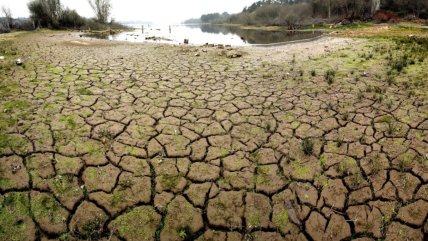  ¿Cómo la inteligencia artificial predice desastres y acelera soluciones climáticas?  