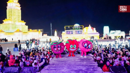   China celebra el festival de hielo y nieve de la cereza chilena 