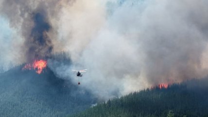   Humo de megaincendio en la Patagonia argentina llega a la Antártica y acelera el deshielo 