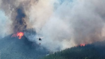   Lluvias aplacan incendios en la Patagonia argentina 