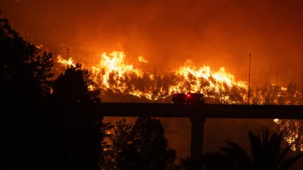   De incendios a megaincendios: por qué Chile arde ahora más 