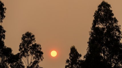   Bomberos y Conaf combaten incendio forestal en Quilpué 