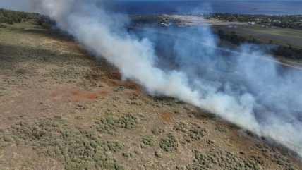 Incendio forestal arrasó 20 hectáreas en Rapa Nui  