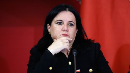   UDI: El Gobierno debe tomar pronto medidas concretas y palpables en seguridad 