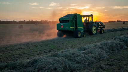   Presencia de minas en tierras agrícolas de Ucrania empuja al alza precio de los alimentos 
