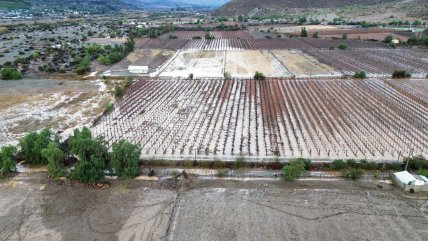   Sociedad Nacional de Agricultura: El Niño se está portando muy mal y va a causar mucho daño 